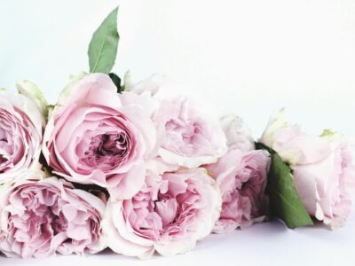 I fiori più belli da regalare alla mamma: guida alla scelta perfetta
